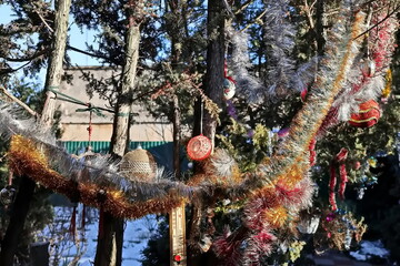 Happy New Year.Christmas tree decorations and toys for fir trees covered with snow and ice. Close-up. Merry Christmas.2024.