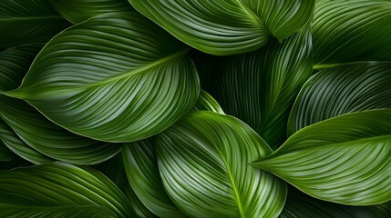 Leaves rustling in the wind nature closeup lush environment