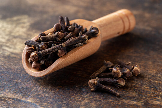 Dry clove buds in a wooden scoop macro. Scoop full of whole cloves spice over wooden surface. Spice for cooking and herbal medicine concept.