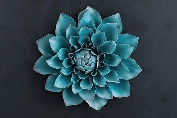 Isolated Dahlia flower close