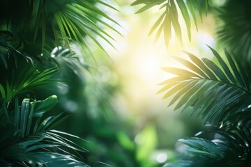 palm tree and Sunlight shines