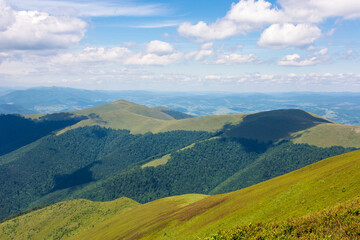 Fototapeta premium borzhava ridge summer scenery. wonderful weather. alpine landscape of carpathian mountain range. sunny day. grassy meadow and rolling hill. travel ukraine. explore picturesque transcarpathia terrain