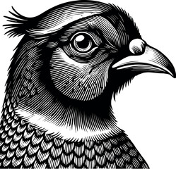 Elegant Pheasant Vector Black Silhouette Cricut Design for T-Shirt