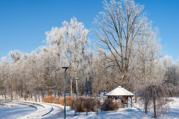 Zima w parku centralnym w Olsztynie.