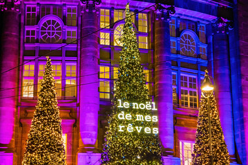 Three dazzling Christmas trees adorned with lights stand in front of a beautifully lit historic...