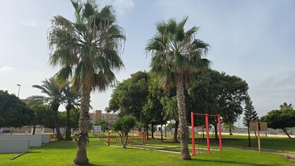 plac zabaw dla dzieci palmy © Miroslaw