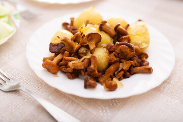 Delicious forest mushrooms chanterelles with young potatoes fried on white plate