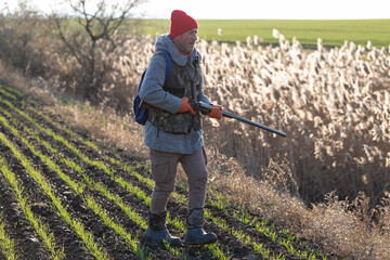 Mature hunter man holding a shotgun and walking through a field