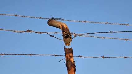 przerdzewiały drut kolczasty