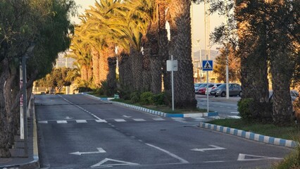 pusta ulica z palmami o poranku © Miroslaw