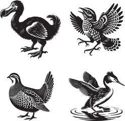 dodo, grebe, nightjar, and partridge bird vector set 