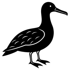 Albatross Silhouette vector illustration