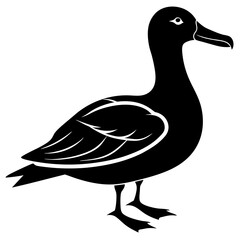 Albatross Silhouette vector illustration