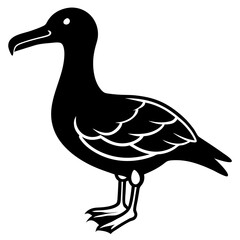 Albatross Silhouette vector illustration