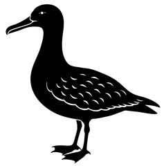 Albatross Silhouette vector illustration