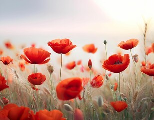 Fototapeta premium Minimalist Floral Wallpaper with Scattered Red Poppy Blossoms