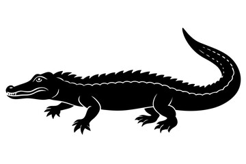 Alligator Silhouette  vector illustration