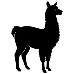 Fototapeta premium Alpaca Silhouette vector illustration