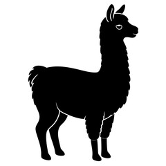 Alpaca Silhouette  vector illustration © Aklima