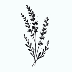 Illustrator Artwork Hand Drawn Vintage Sketch Drawing, green leaves Line Art, Plants Collection branches Floral elements, set of Botanical Illustration Outline leaf, branch Black And White leaves