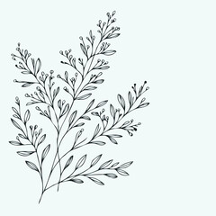 Illustrator Artwork Hand Drawn Vintage Sketch Drawing, green leaves Line Art, Plants Collection branches Floral elements, set of Botanical Illustration Outline leaf, branch Black And White leaves