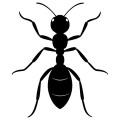 Ant Silhouette  vector illustration