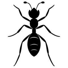 Ant Silhouette  vector illustration
