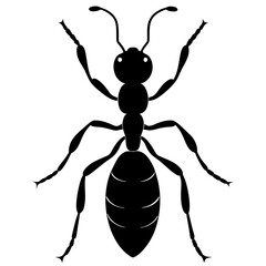 Ant Silhouette  vector illustration
