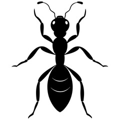 Ant Silhouette  vector illustration