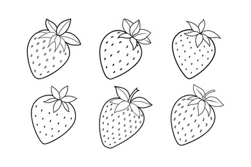 strawberry fruits line art vector illustration