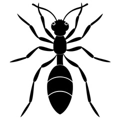 Ant Silhouette  vector illustration