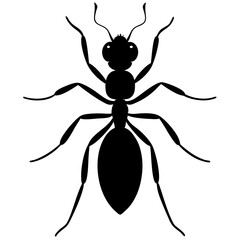 Ant Silhouette  vector illustration