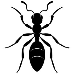 Ant Silhouette  vector illustration