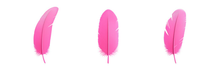 Pink feathers trio, vibrant colors, smooth texture, artistic design, isolated on white background, isolated on transparent background, png