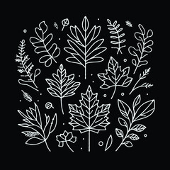 Illustrator Artwork Hand Drawn Vintage Sketch Drawing, green leaves Line Art, Plants Collection branches Floral elements, set of Botanical Illustration Outline leaf, branch Black And White leaves