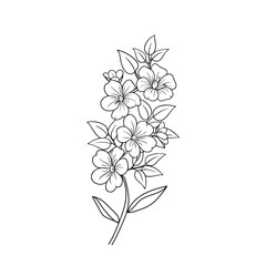  Flowers Bouquet Icon, Minimalist ThinLine Art, Hand-drawn Floral Icon Elements, Flowers in Outline Logo Style.