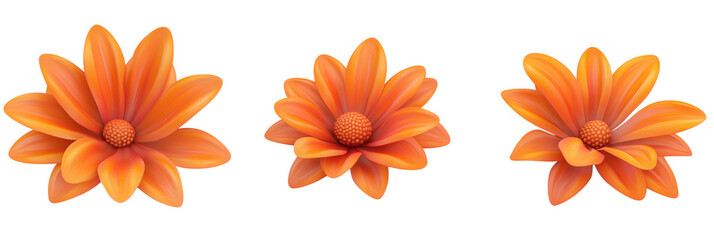 Obraz premium Orange flowers with vibrant petals and textured centers, showcasing three distinct arrangements, bright colors, and smooth surfaces., isolated on transparent background, png