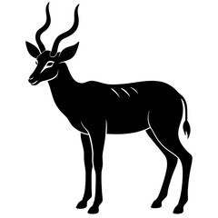 Antelope Silhouette  vector illustration