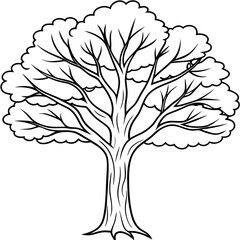 Obraz premium tree with leaves