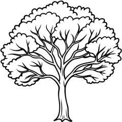 black and white tree