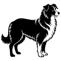 Australian Shepherd Silhouette  vector illustration