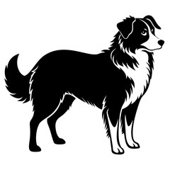 Australian Shepherd Silhouette  vector illustration