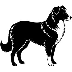 Australian Shepherd Silhouette  vector illustration