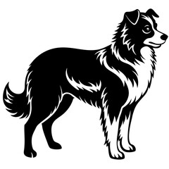 Australian Shepherd Silhouette  vector illustration