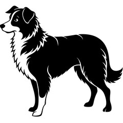 Australian Shepherd Silhouette  vector illustration