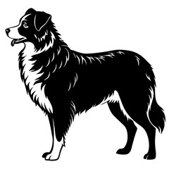 Australian Shepherd Silhouette  vector illustration