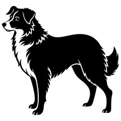 Australian Shepherd Silhouette  vector illustration