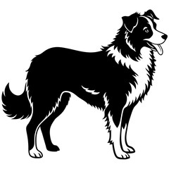 Australian Shepherd Silhouette  vector illustration