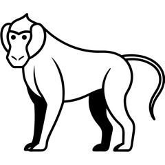 Baboon Silhouette  vector illustration