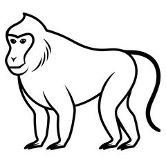 Baboon Silhouette  vector illustration